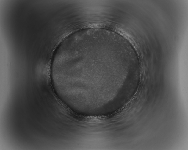 X0000092240297200710121241