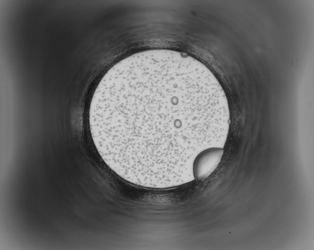 X0000092240299200710121241