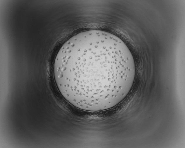 X0000092240303200710121241