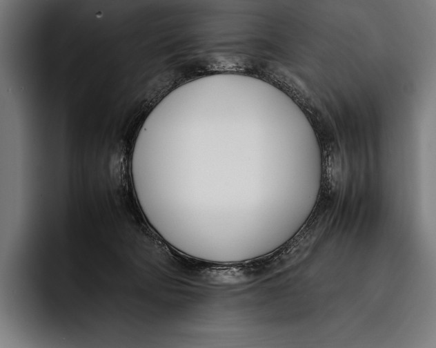 X0000092240322200710121241