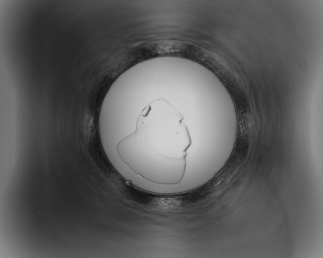X0000092240327200710121241