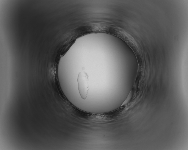 X0000092240329200710121241
