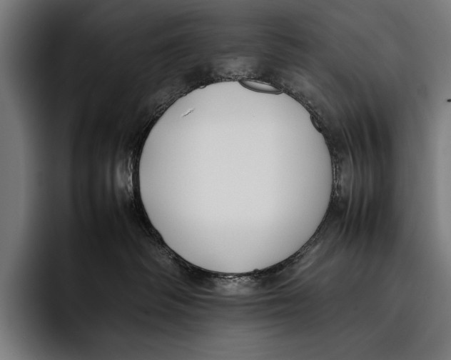 X0000092240334200710121241