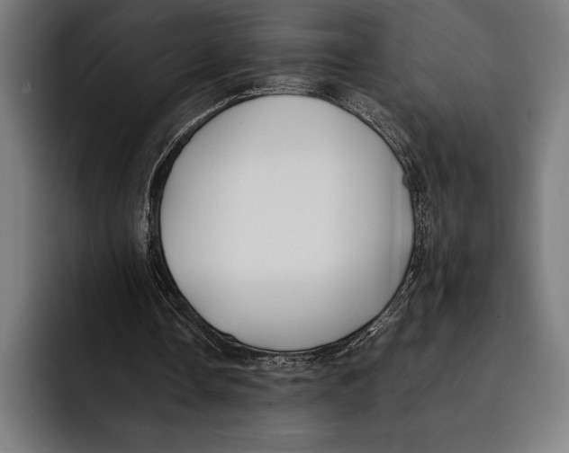 X0000092240338200710121240