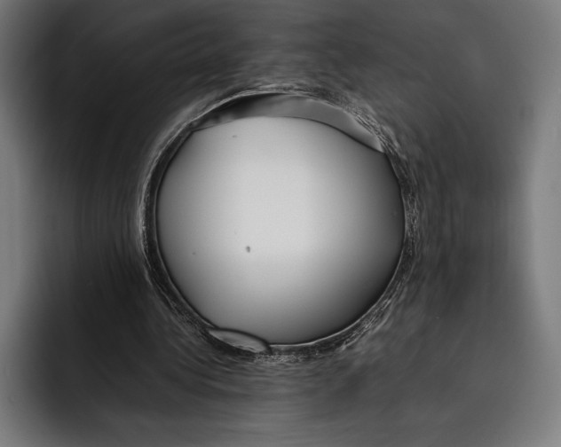X0000092240340200710121240