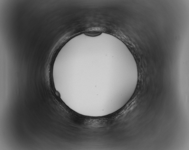 X0000092240341200710121240