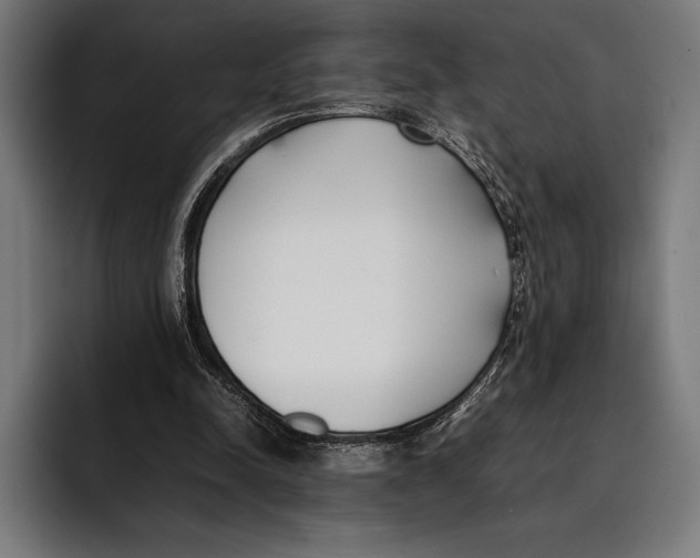 X0000092240342200710121240