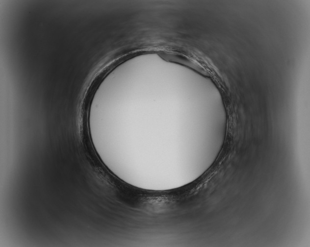 X0000092240344200710121240
