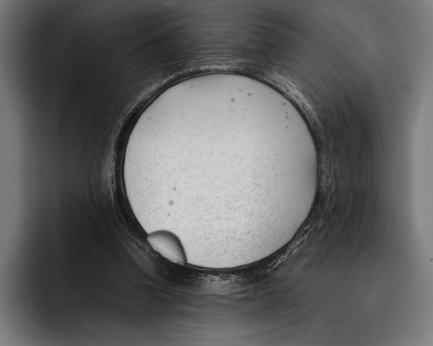 X0000092240346200710121240