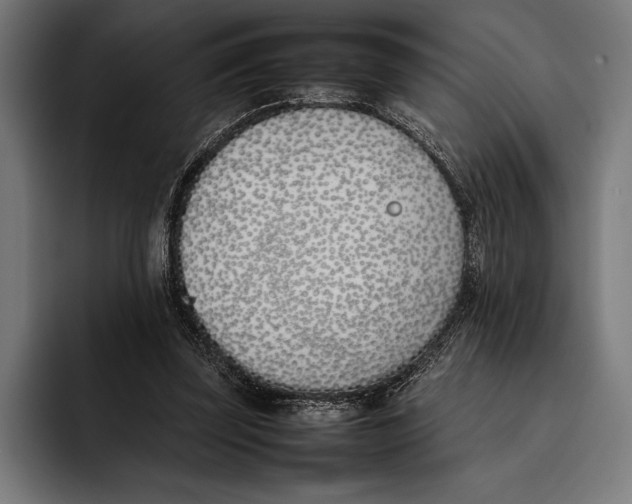 X0000092240347200710121240