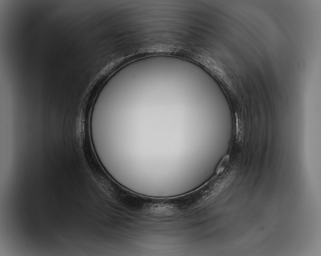 X0000092240348200710121240