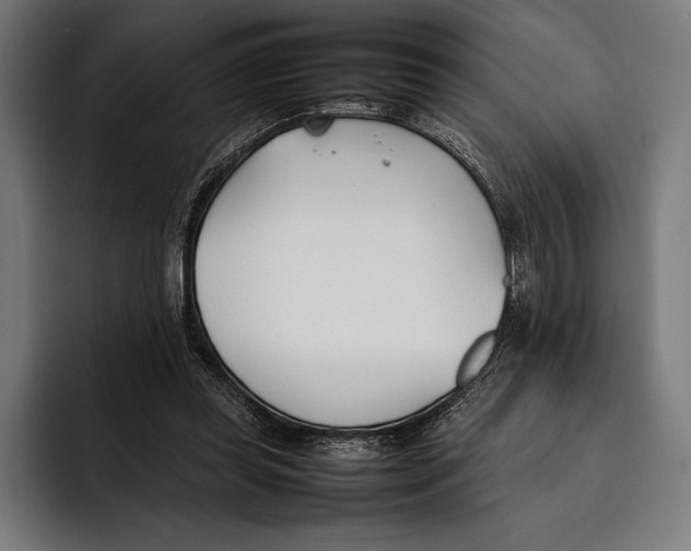 X0000092240349200710121241