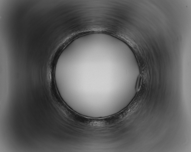 X0000092240350200710121241