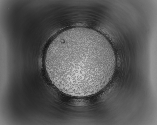 X0000092240351200710121241