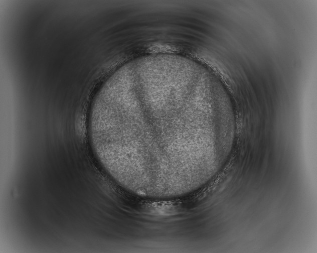 X0000092240353200710121241