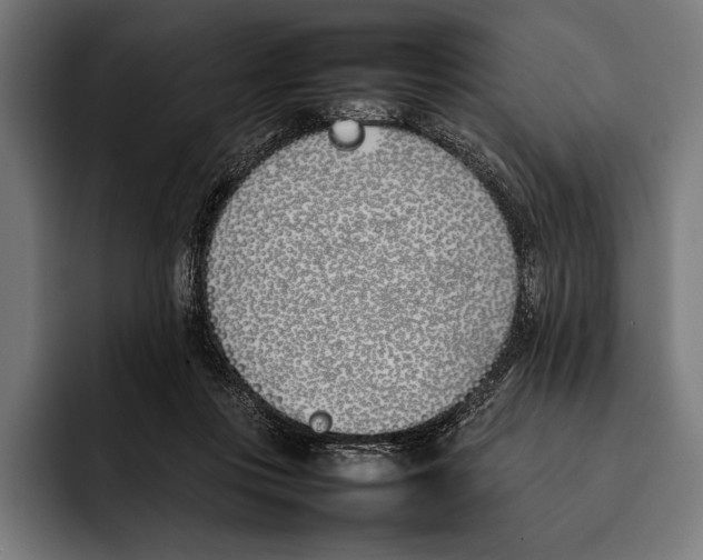X0000092240359200710121241