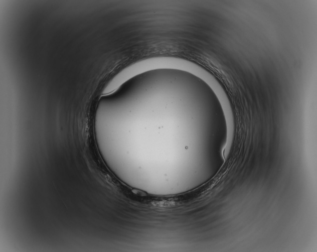 X0000092240362200710121241