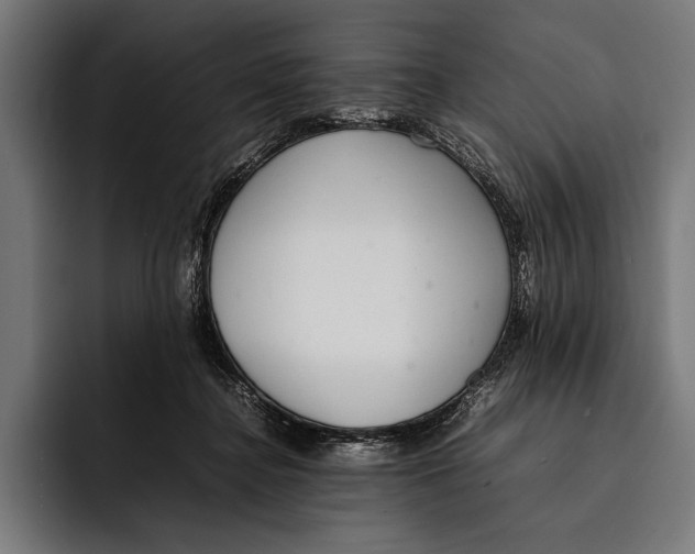 X0000092240364200710121241
