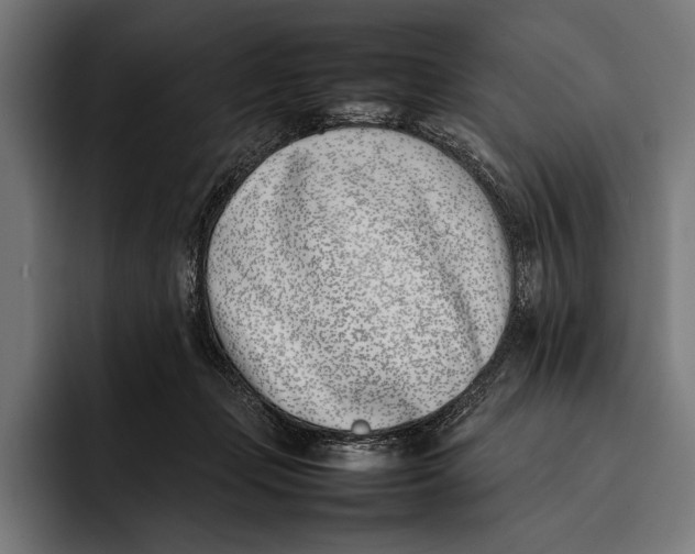 X0000092240365200710121241