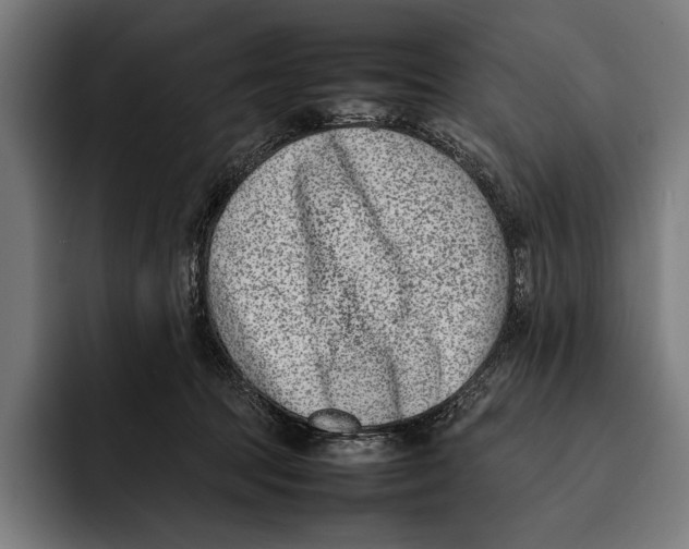 X0000092240369200710121241