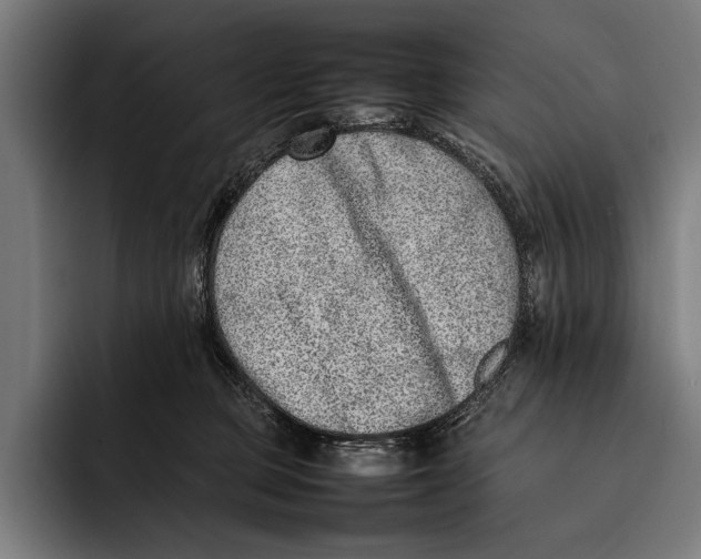 X0000092240373200710121241