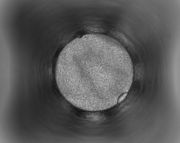 X0000092240377200710121241