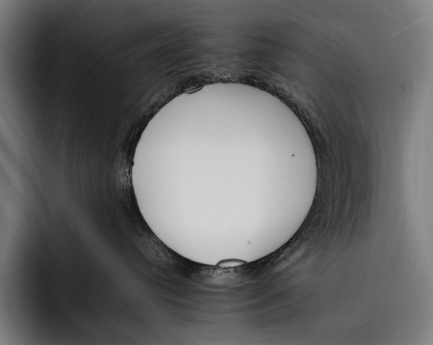 X0000092240384200710121241