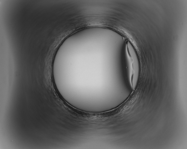 X0000092240385200710121240