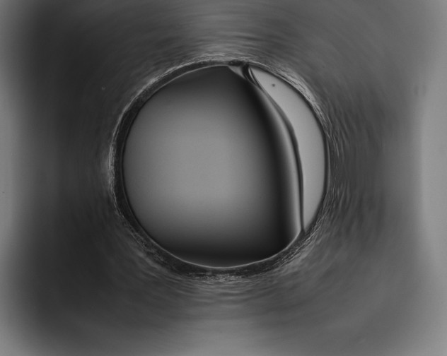 X0000092240387200710121240