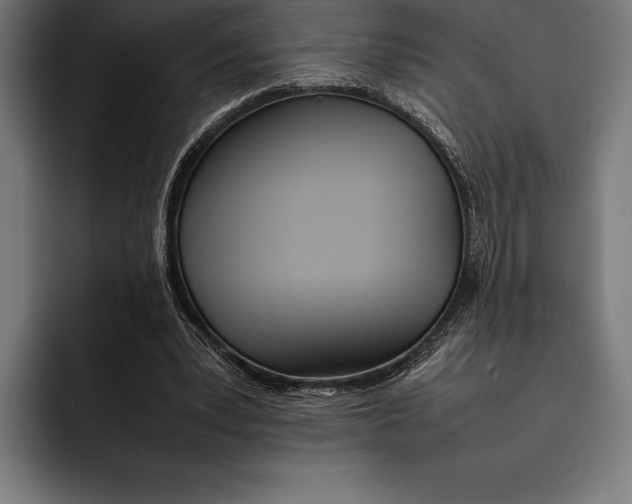 X0000092240391200710121240
