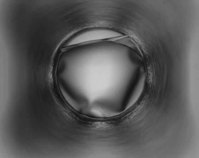 X0000092240392200710121240