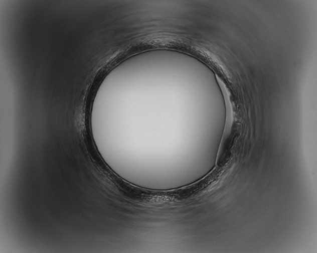 X0000092240399200710121240