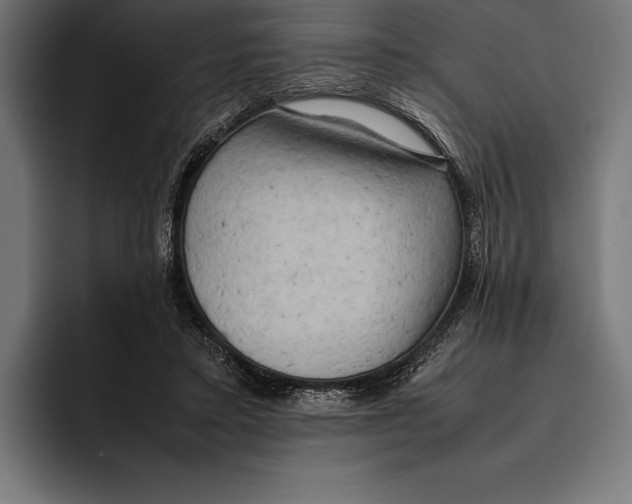 X0000092240403200710121240