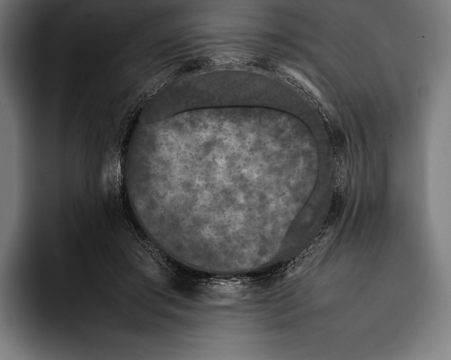 X0000092240405200710121240