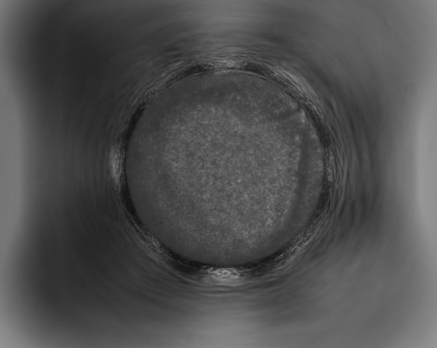X0000092240409200710121240