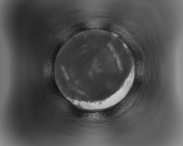 X0000092240411200710121240