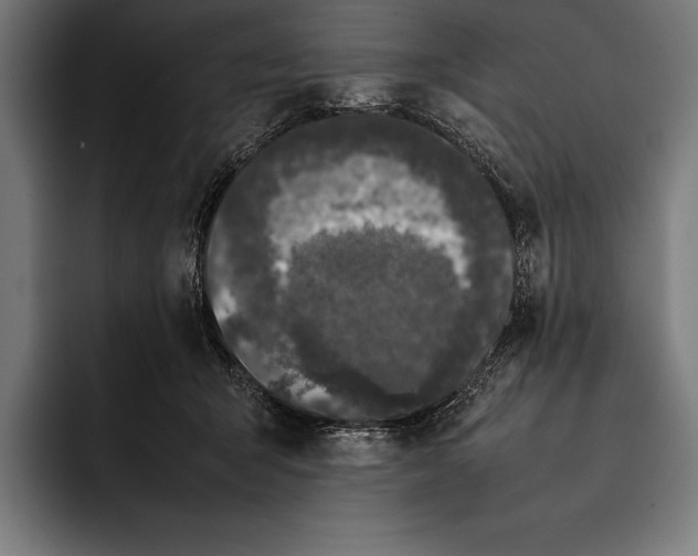 X0000092240415200710121240