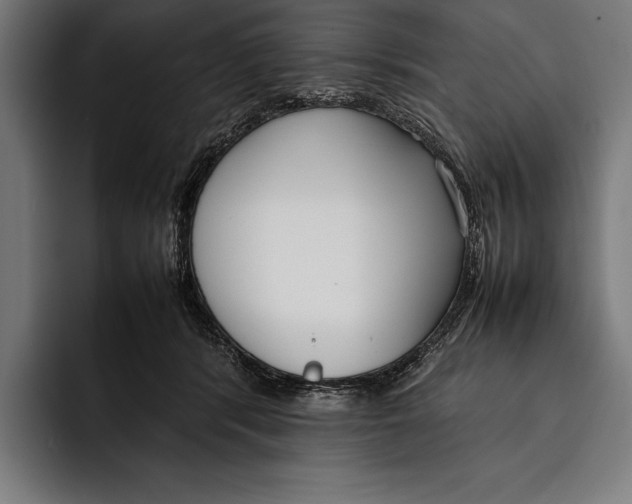 X0000092240416200710121240