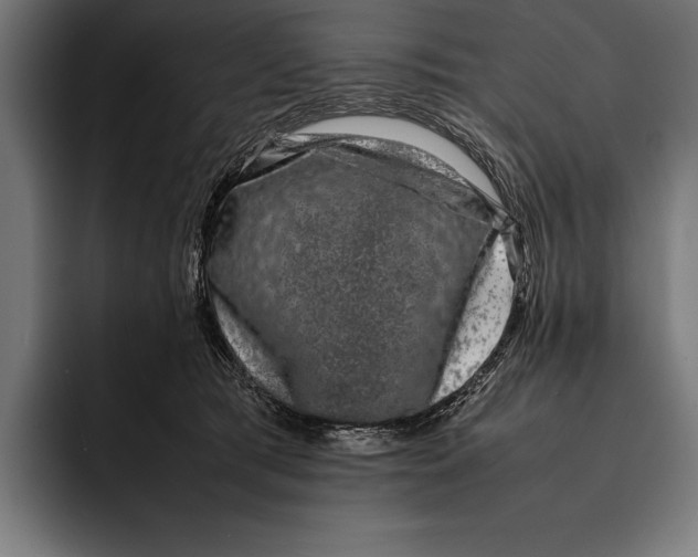 X0000092240417200710121240