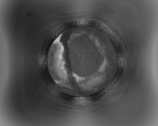 X0000092240419200710121240