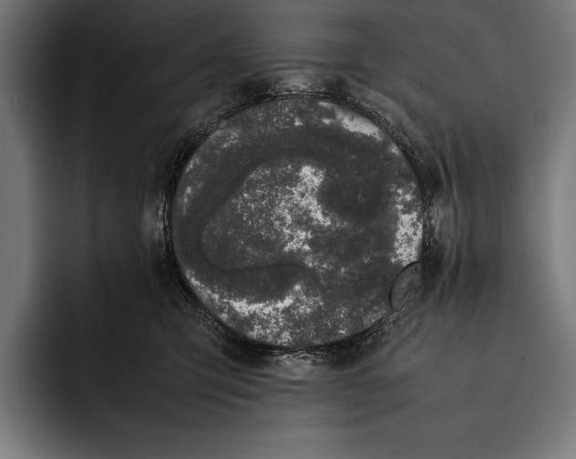 X0000092240423200710121240
