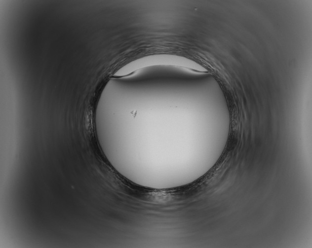 X0000092240425200710121240