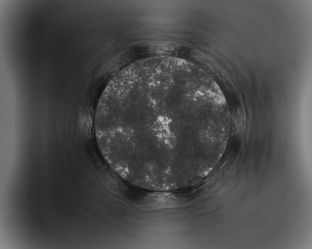 X0000092240427200710121240