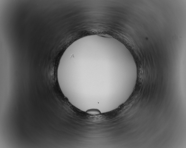 X0000092240428200710121240