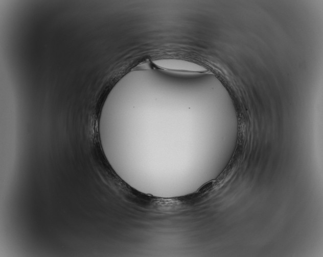 X0000092240429200710121240