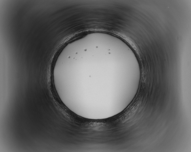 X0000092240437200710121239