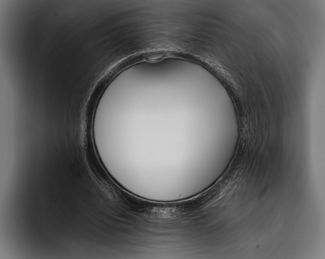 X0000092240440200710121239