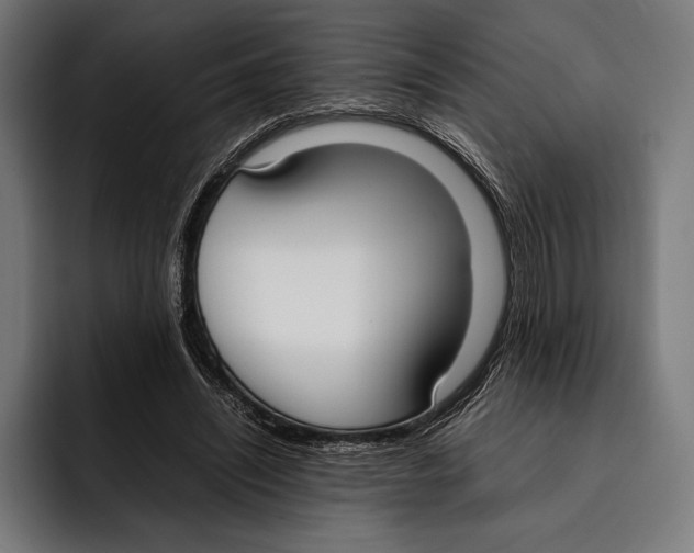 X0000092240444200710121239