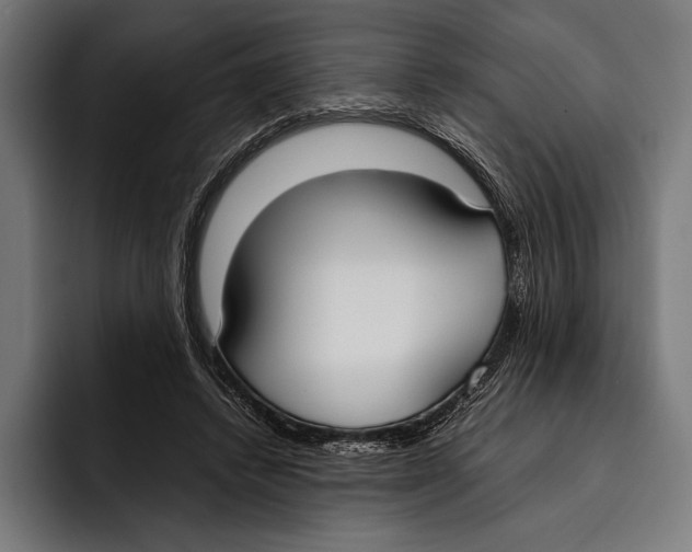 X0000092240448200710121239