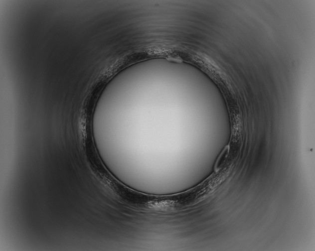 X0000092240452200710121239